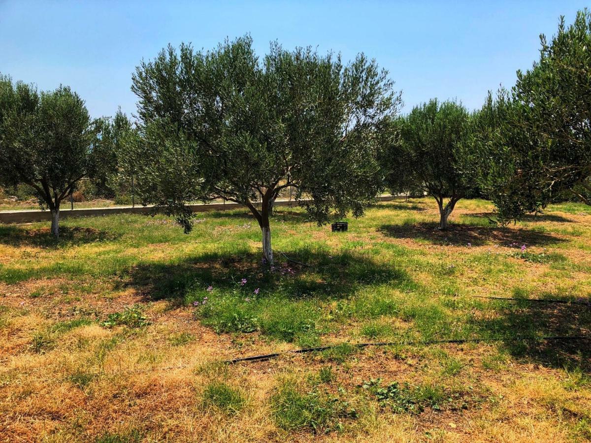 Villa The Hillhouse Near Alexandroupolis Exterior foto