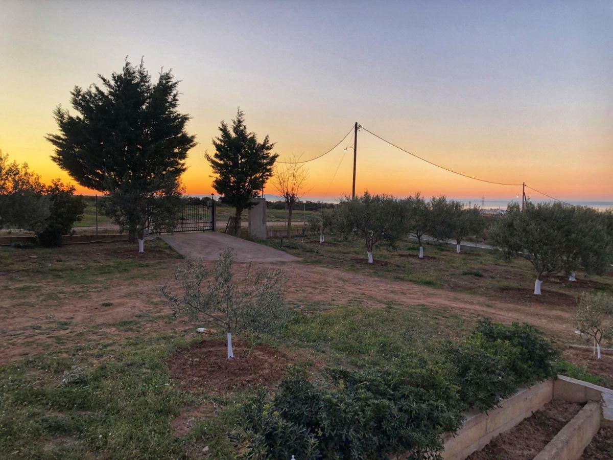 Villa The Hillhouse Near Alexandroupolis Exterior foto